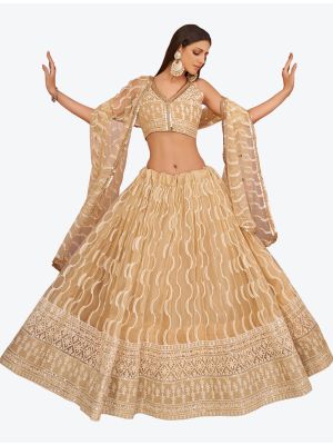 Warm Beige Mono Net Heavy Designer Lehenga Choli with Dupatta FABLE20225