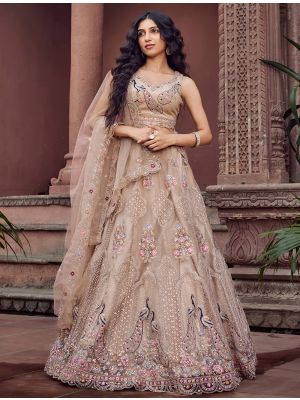 Beige Net Embroidered Lehenga Choli FABLE20531