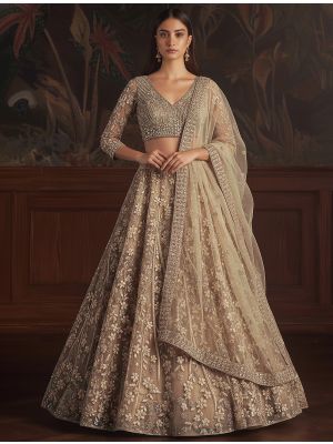 Golden Beige Net Embroidered Wedding Lehenga small FABLE20535