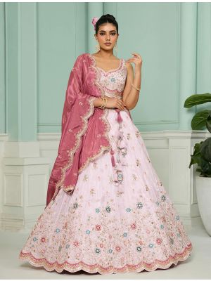 Light Pink Tissue Embroidered Designer Lehenga Choli small FABLE20512