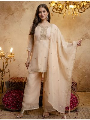 Soft Beige Crunchy Silk Embroidered Ready To Wear Salwar Kameez swatch FABSL22567
