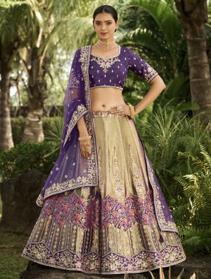 Deep Beige Banarasi Silk Designer Wedding Lehenga small FABLE20375