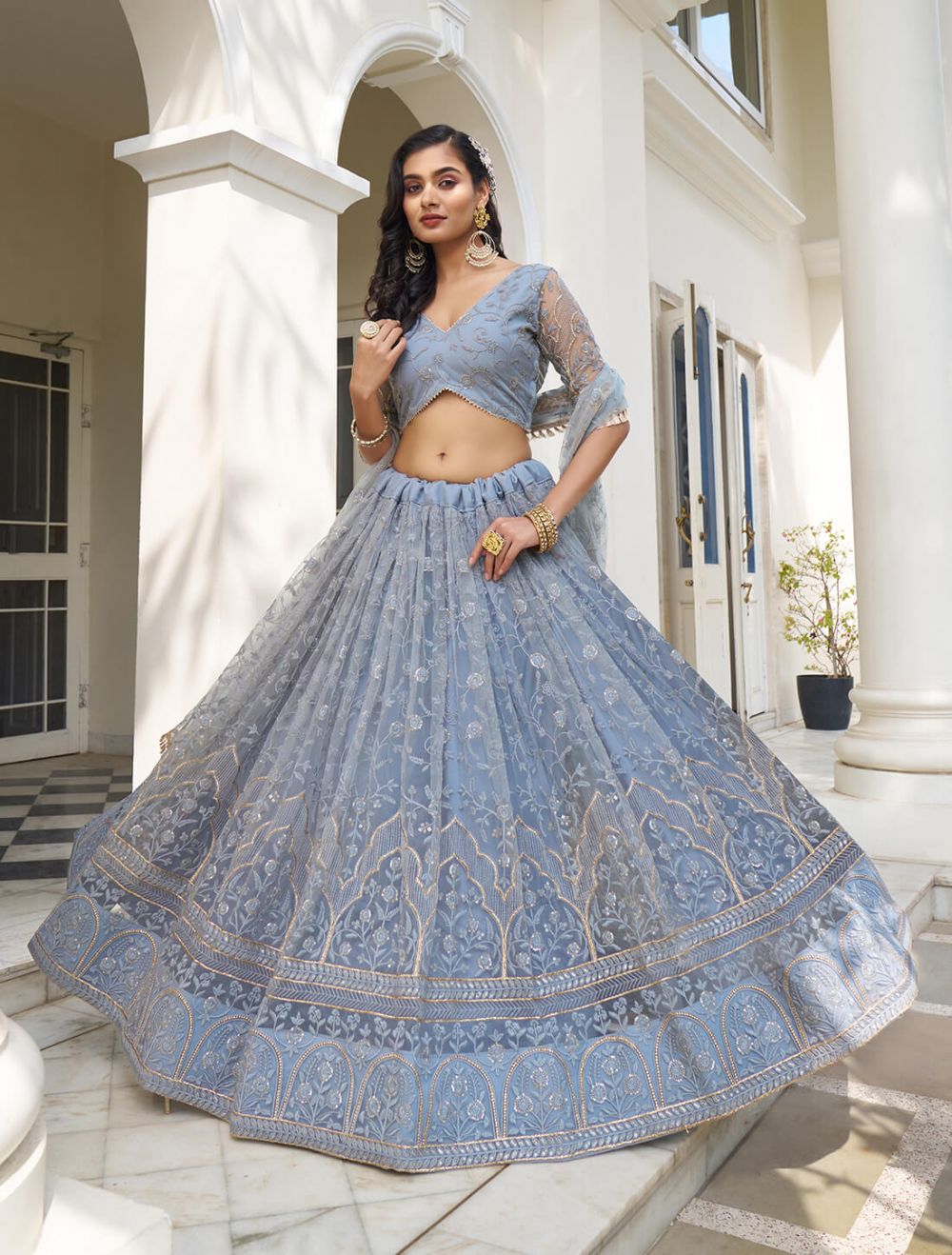 Pastel Blue Butterfly Net Embroidered Lehenga Choli